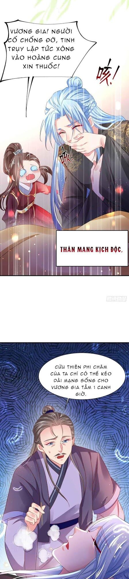 Bệnh Kiều Phu Quân Ngạnh Thượng Cung: Chapter 0