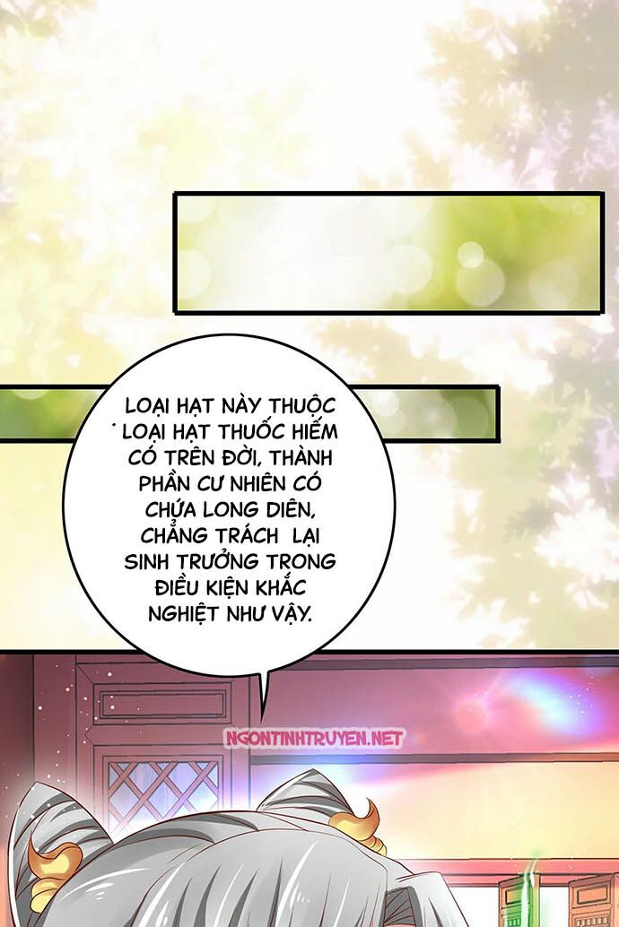 Bệnh Kiều Phu Quân Ngạnh Thượng Cung: Chapter 10