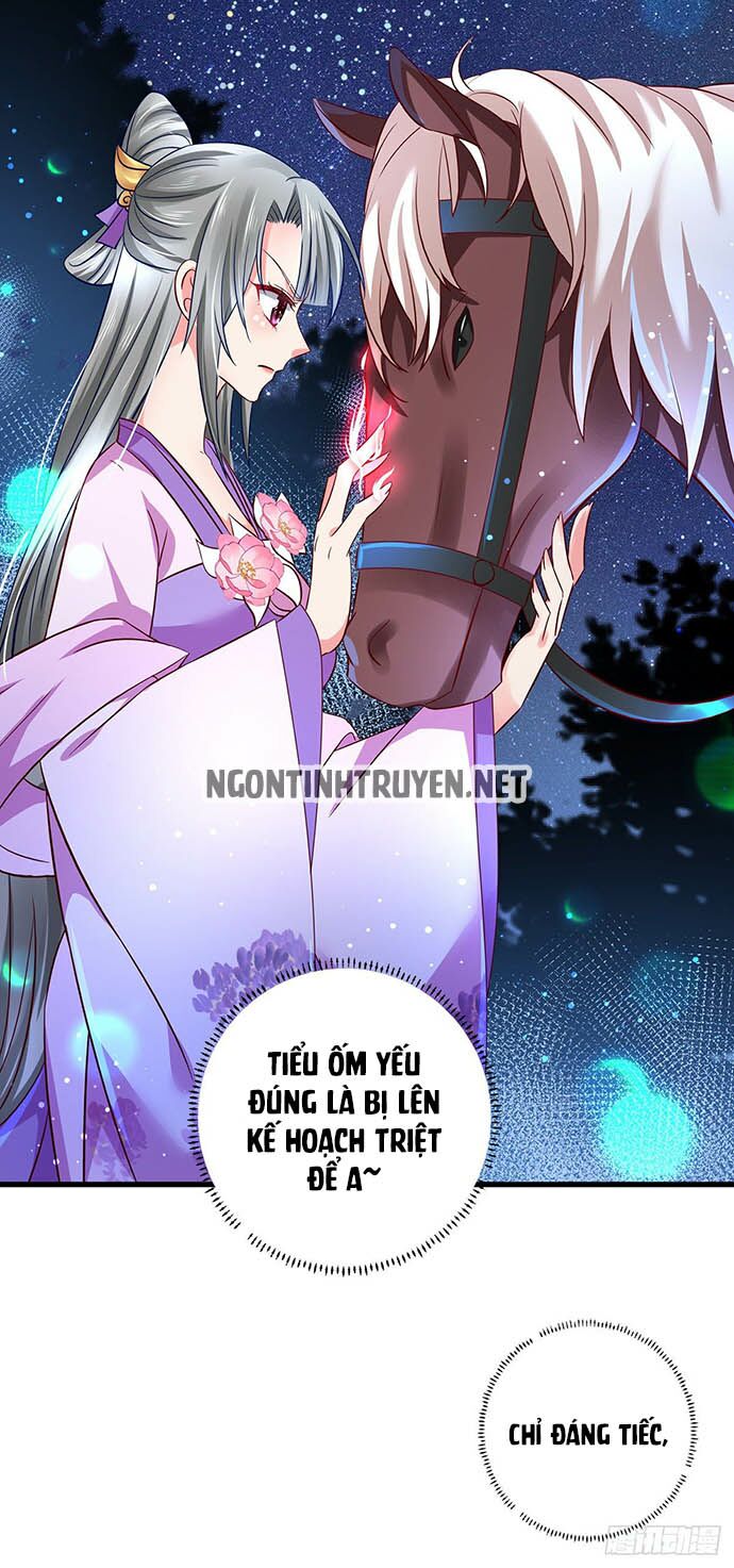 Bệnh Kiều Phu Quân Ngạnh Thượng Cung: Chapter 11