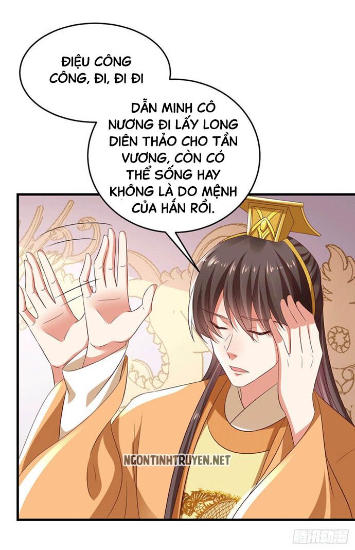 Bệnh Kiều Phu Quân Ngạnh Thượng Cung: Chapter 21