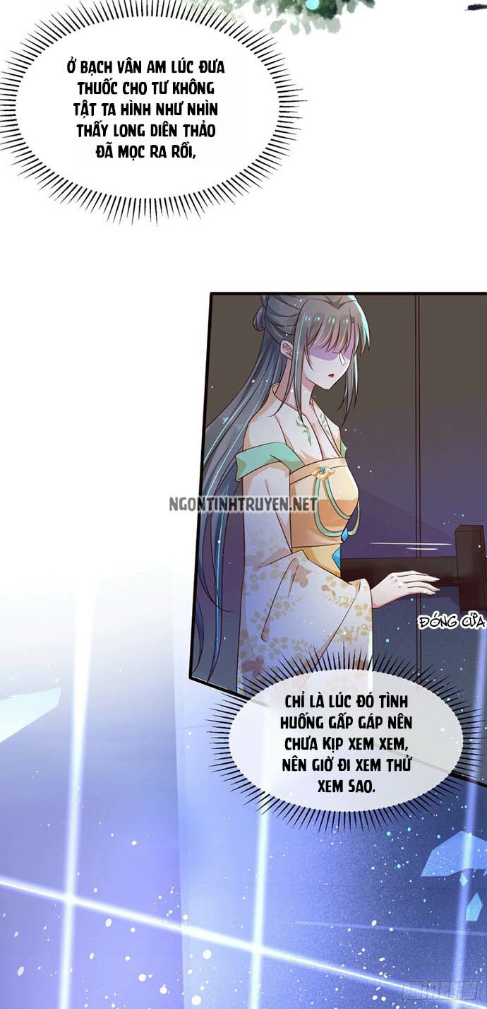 Bệnh Kiều Phu Quân Ngạnh Thượng Cung: Chapter 38