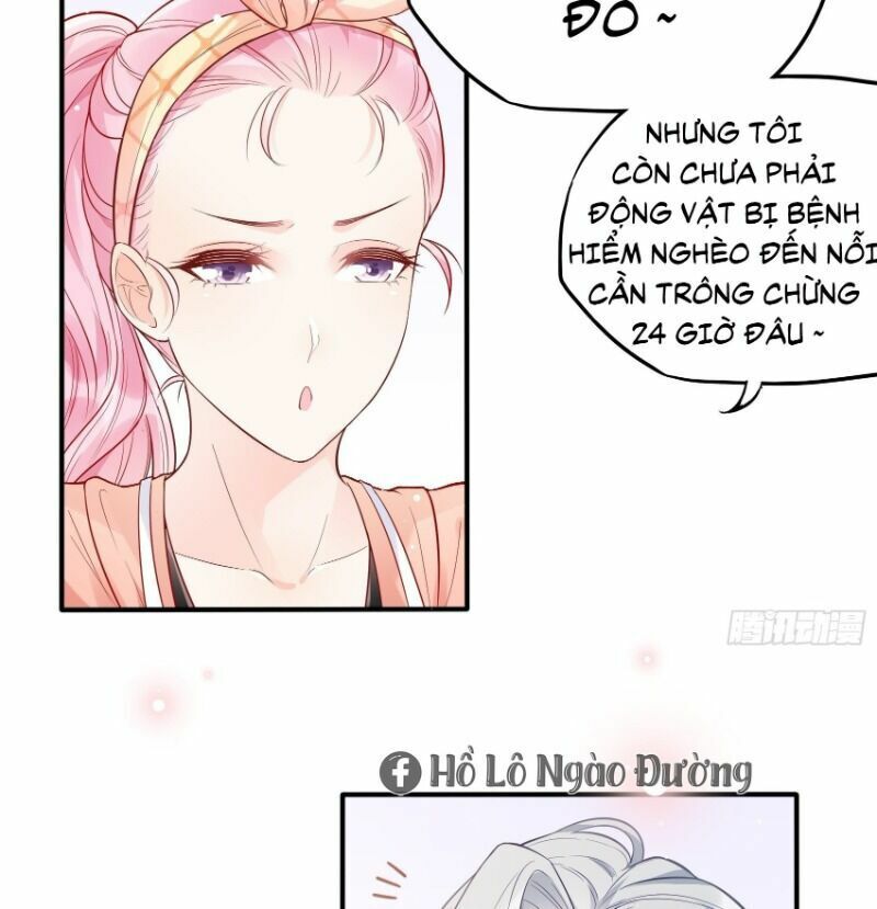 Nhật Kí Mưu Sinh Của Tra Nữ: Chapter 61