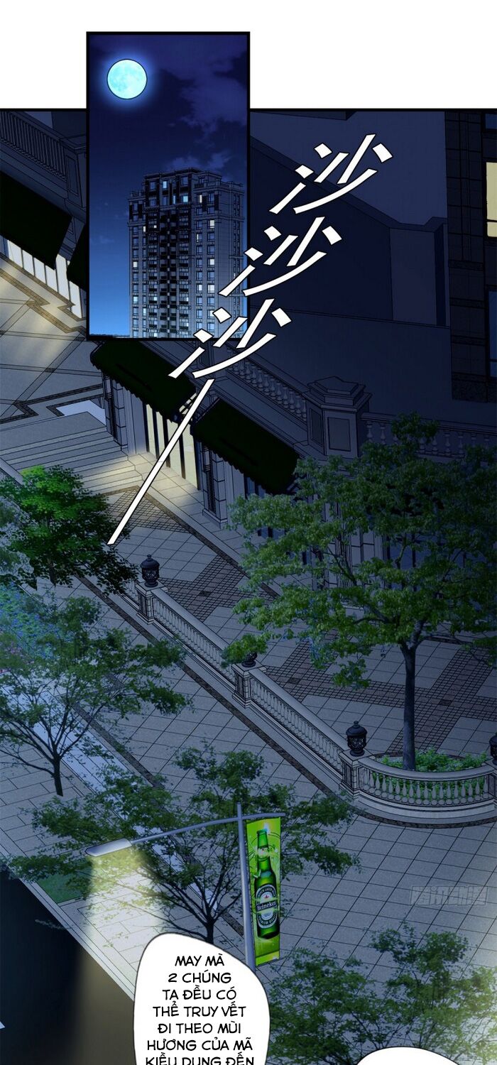 Mở Phòng Khám Tại Tu Tiên Giới: Chapter 72