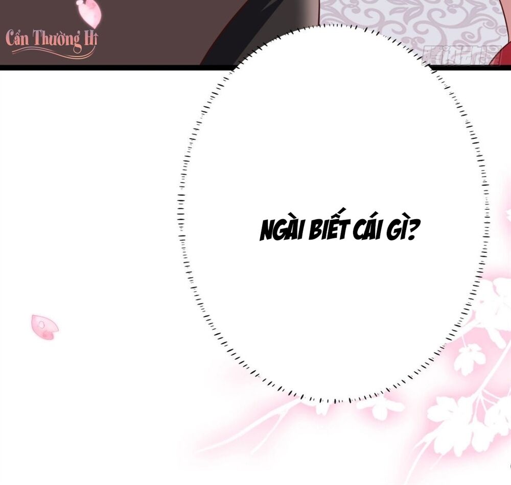 Tướng Quân Tại Thượng: Manh Phi Xuyên Không Muốn Nghịch Tập: Chapter 15