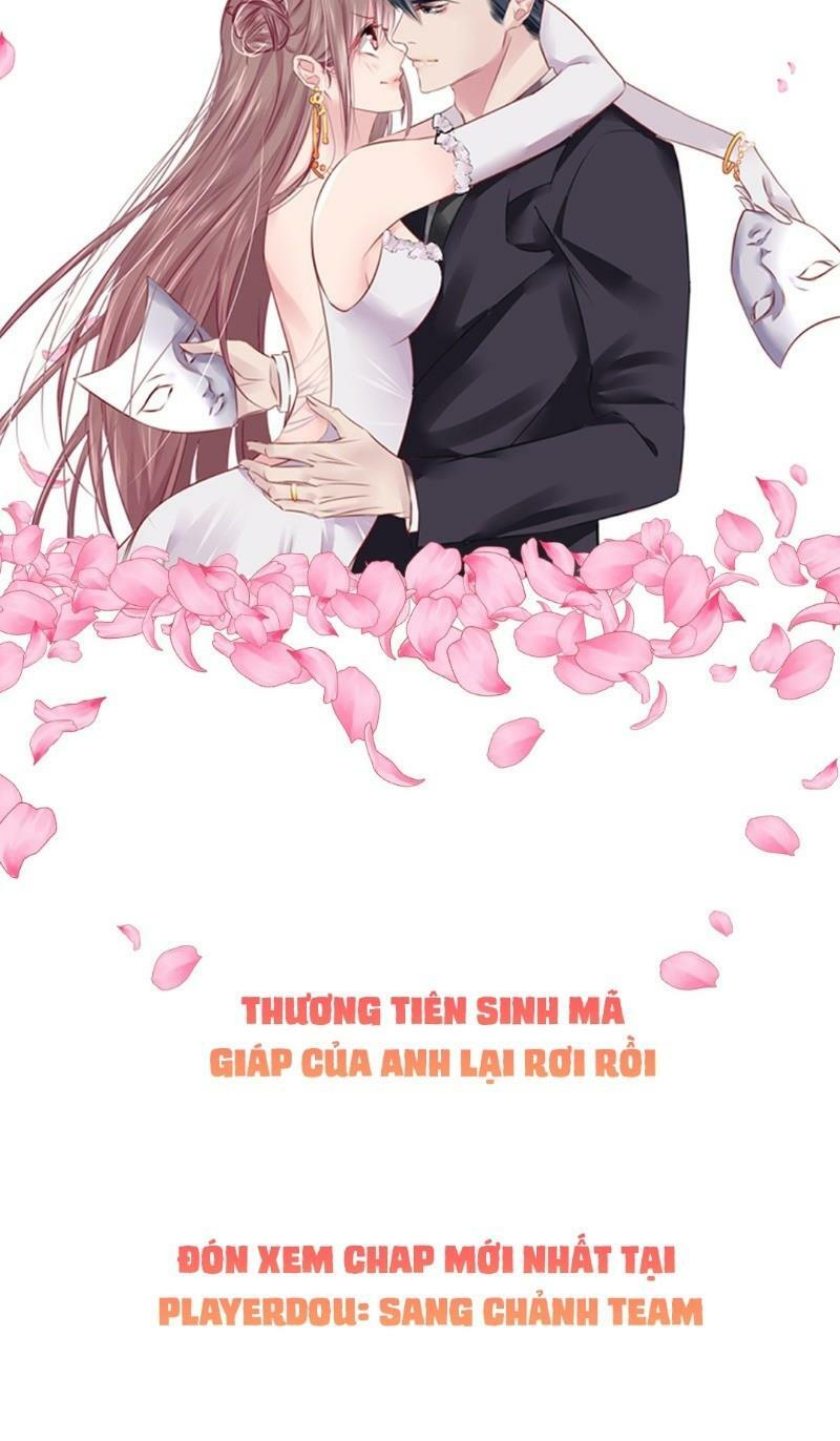 Thương Tiên Sinh Mã Giáp Của Anh Lại Rơi Rồi: Chapter 0