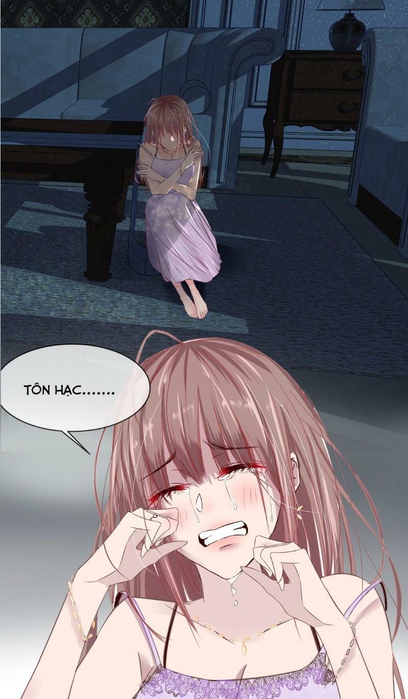 Thương Tiên Sinh Mã Giáp Của Anh Lại Rơi Rồi: Chapter 0