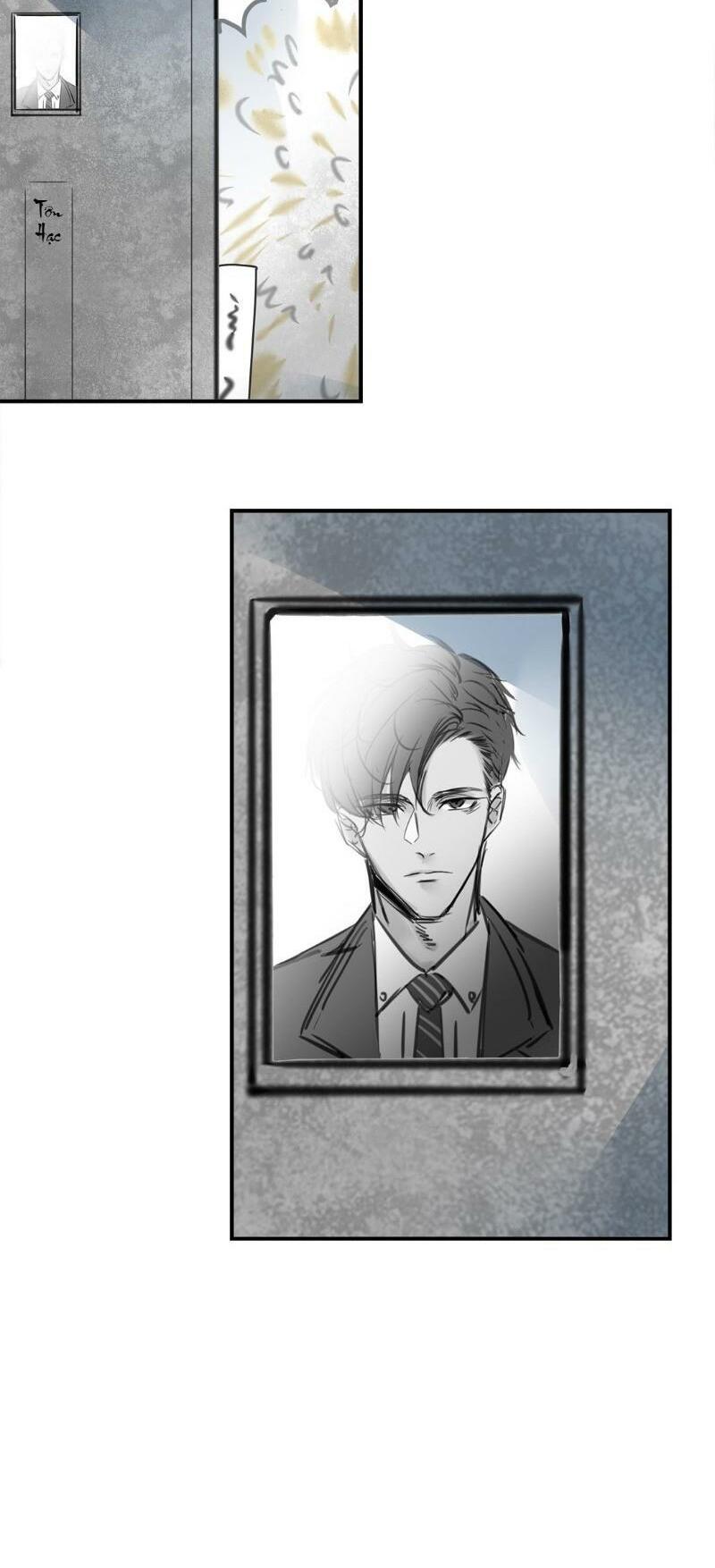 Thương Tiên Sinh Mã Giáp Của Anh Lại Rơi Rồi: Chapter 5