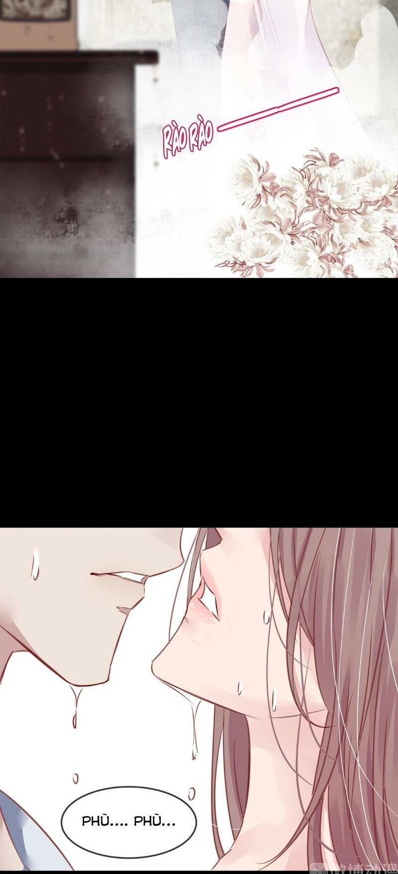 Thương Tiên Sinh Mã Giáp Của Anh Lại Rơi Rồi: Chapter 5