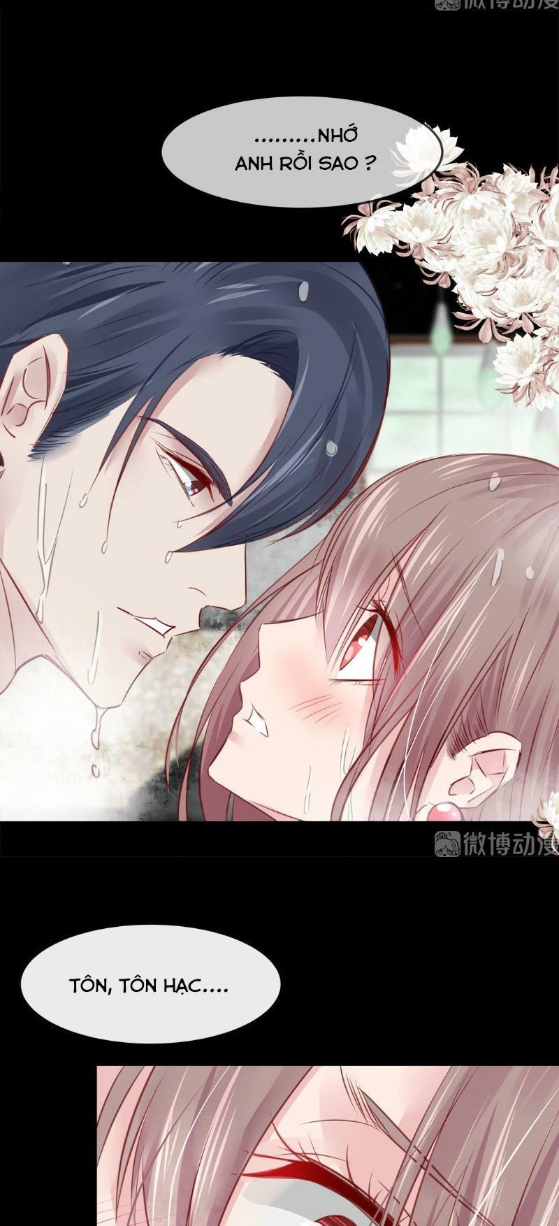 Thương Tiên Sinh Mã Giáp Của Anh Lại Rơi Rồi: Chapter 5
