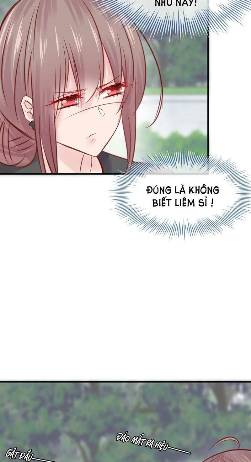 Thương Tiên Sinh Mã Giáp Của Anh Lại Rơi Rồi: Chapter 5