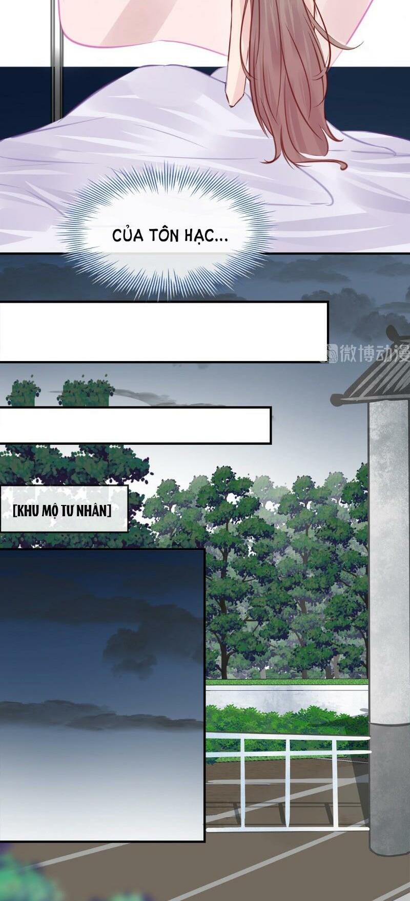 Thương Tiên Sinh Mã Giáp Của Anh Lại Rơi Rồi: Chapter 5