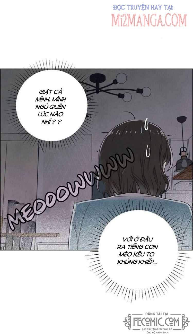 Tôi đã cướp mất đêm đầu tiên của nam chính: Chapter 74.5