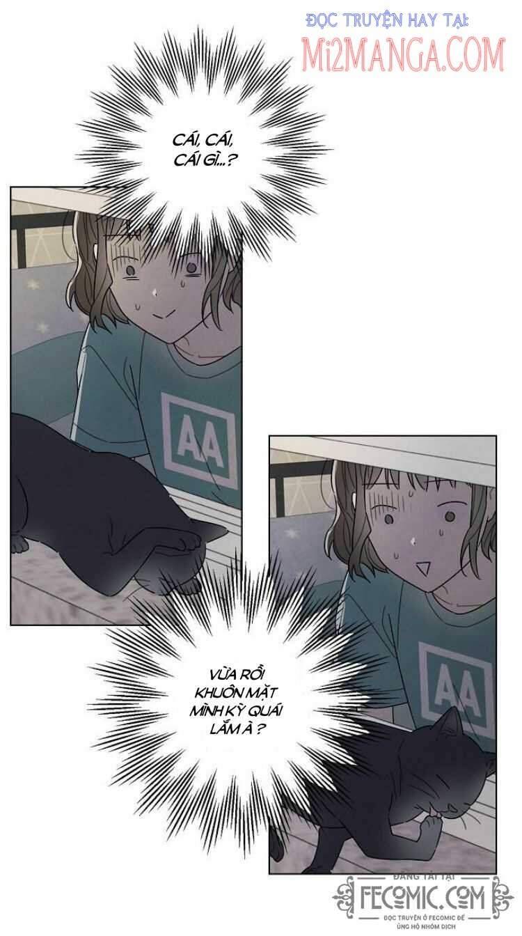Tôi đã cướp mất đêm đầu tiên của nam chính: Chapter 74.5
