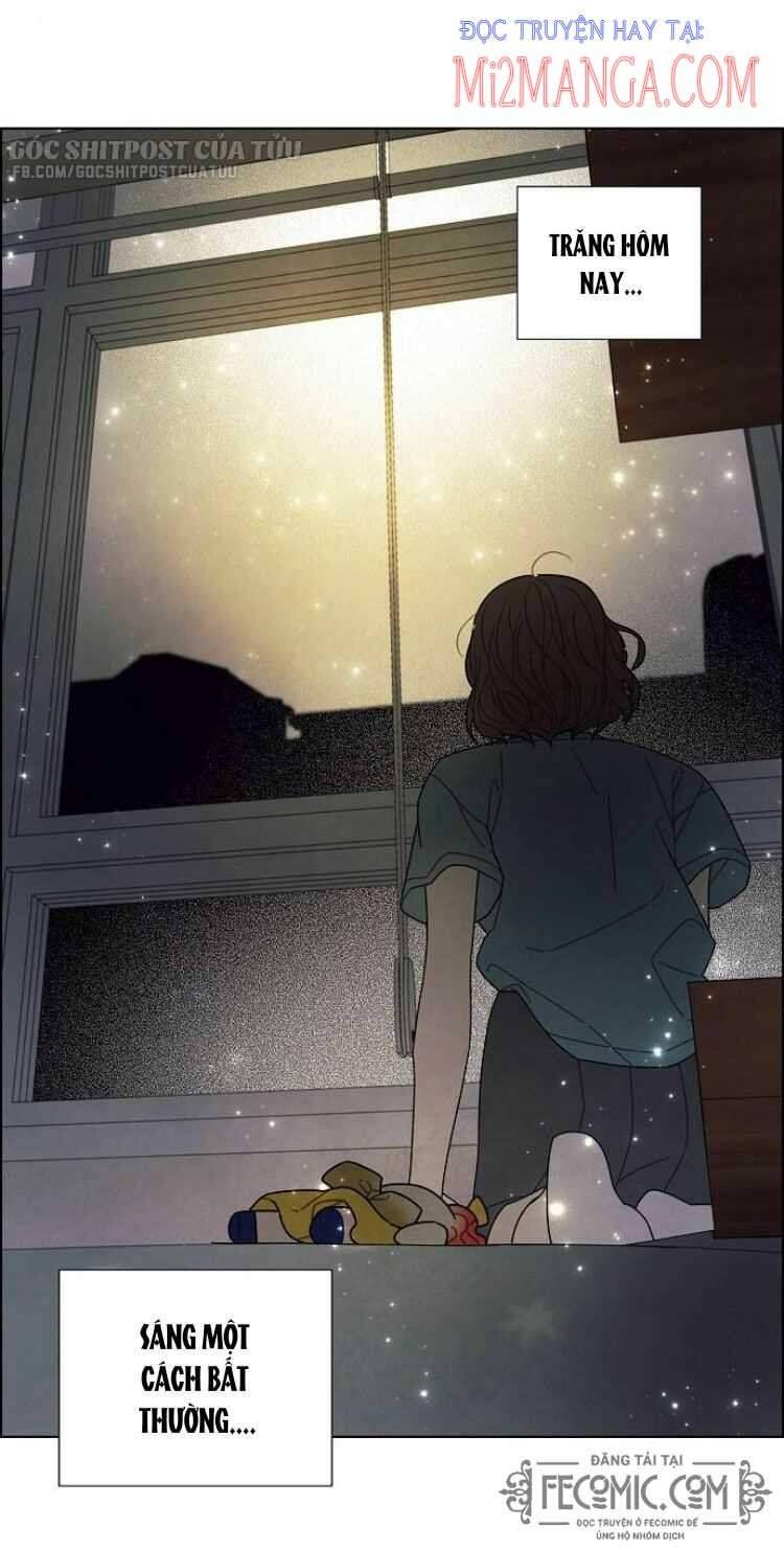 Tôi đã cướp mất đêm đầu tiên của nam chính: Chapter 74.5