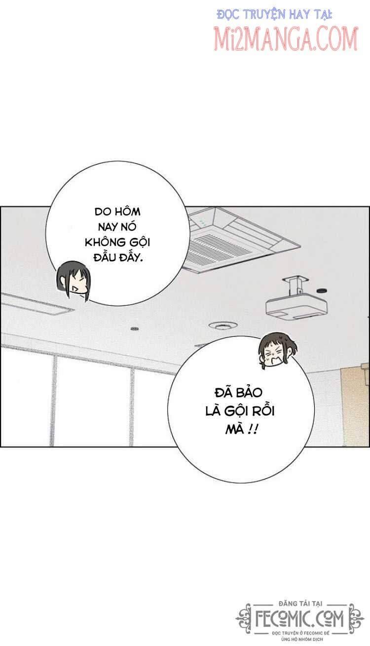 Tôi đã cướp mất đêm đầu tiên của nam chính: Chapter 74.5