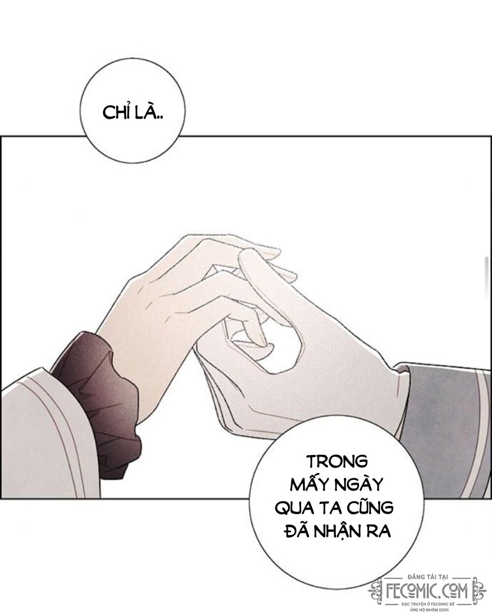 Tôi đã cướp mất đêm đầu tiên của nam chính: Chapter 102