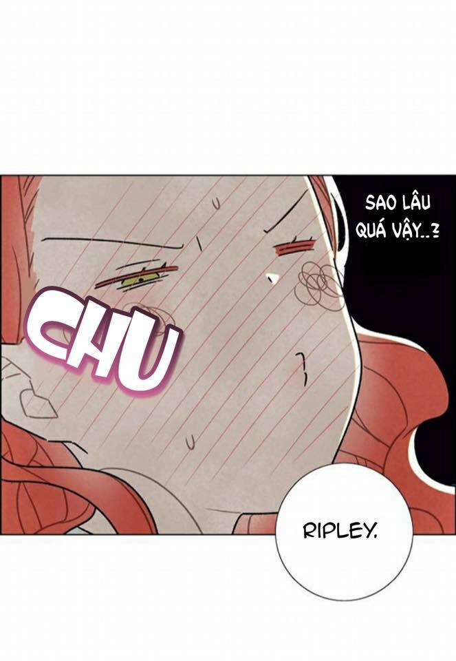Tôi đã cướp mất đêm đầu tiên của nam chính: Chapter 13