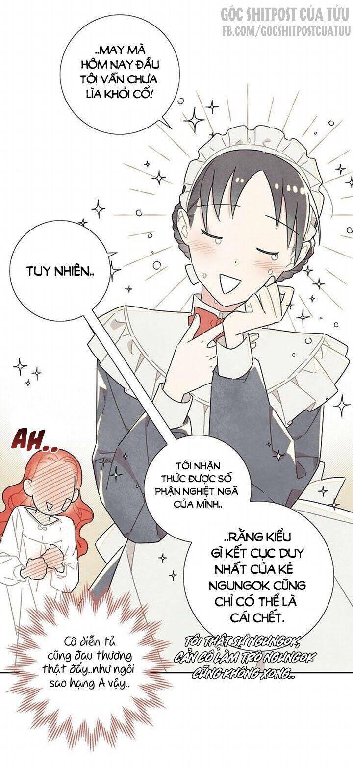 Tôi đã cướp mất đêm đầu tiên của nam chính: Chapter 19