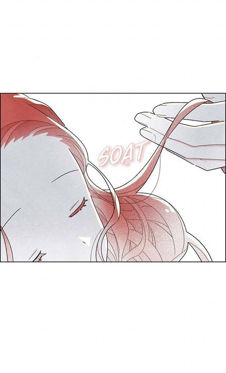 Tôi đã cướp mất đêm đầu tiên của nam chính: Chapter 22