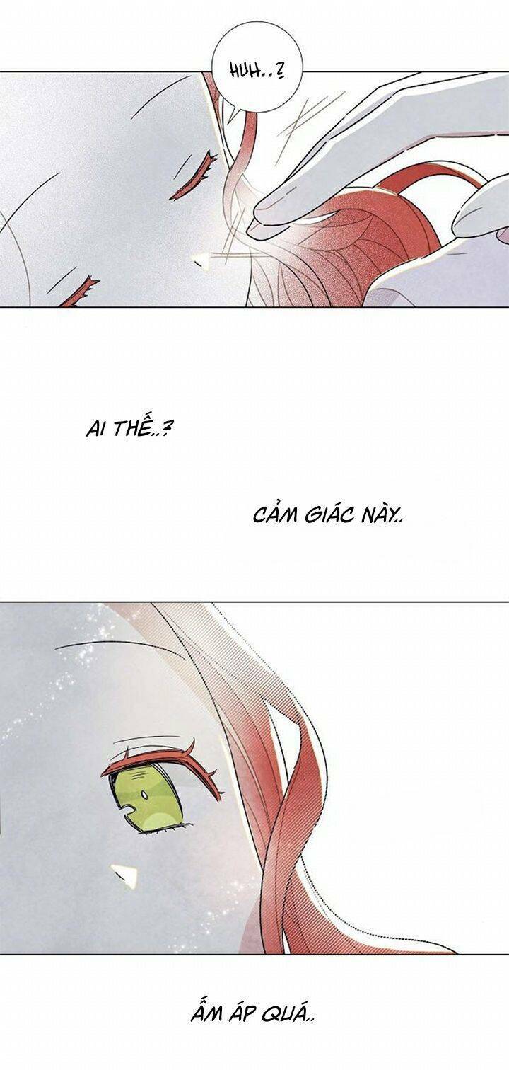 Tôi đã cướp mất đêm đầu tiên của nam chính: Chapter 22