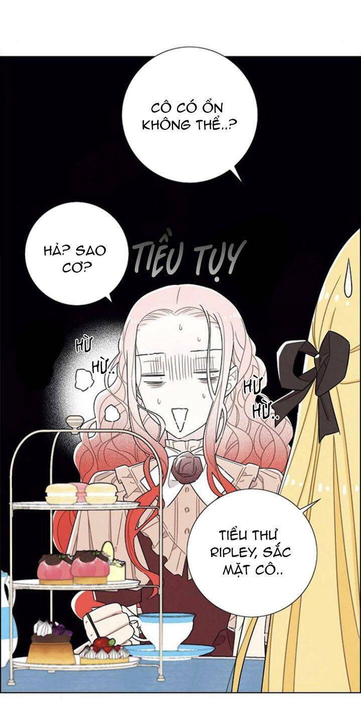 Tôi đã cướp mất đêm đầu tiên của nam chính: Chapter 33