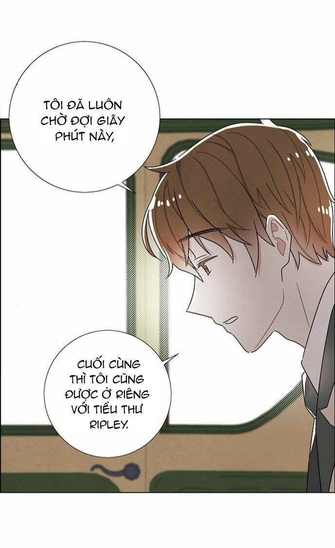 Tôi đã cướp mất đêm đầu tiên của nam chính: Chapter 33