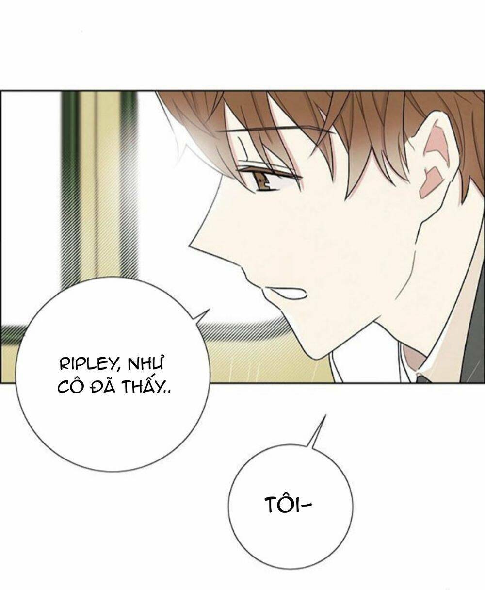 Tôi đã cướp mất đêm đầu tiên của nam chính: Chapter 33