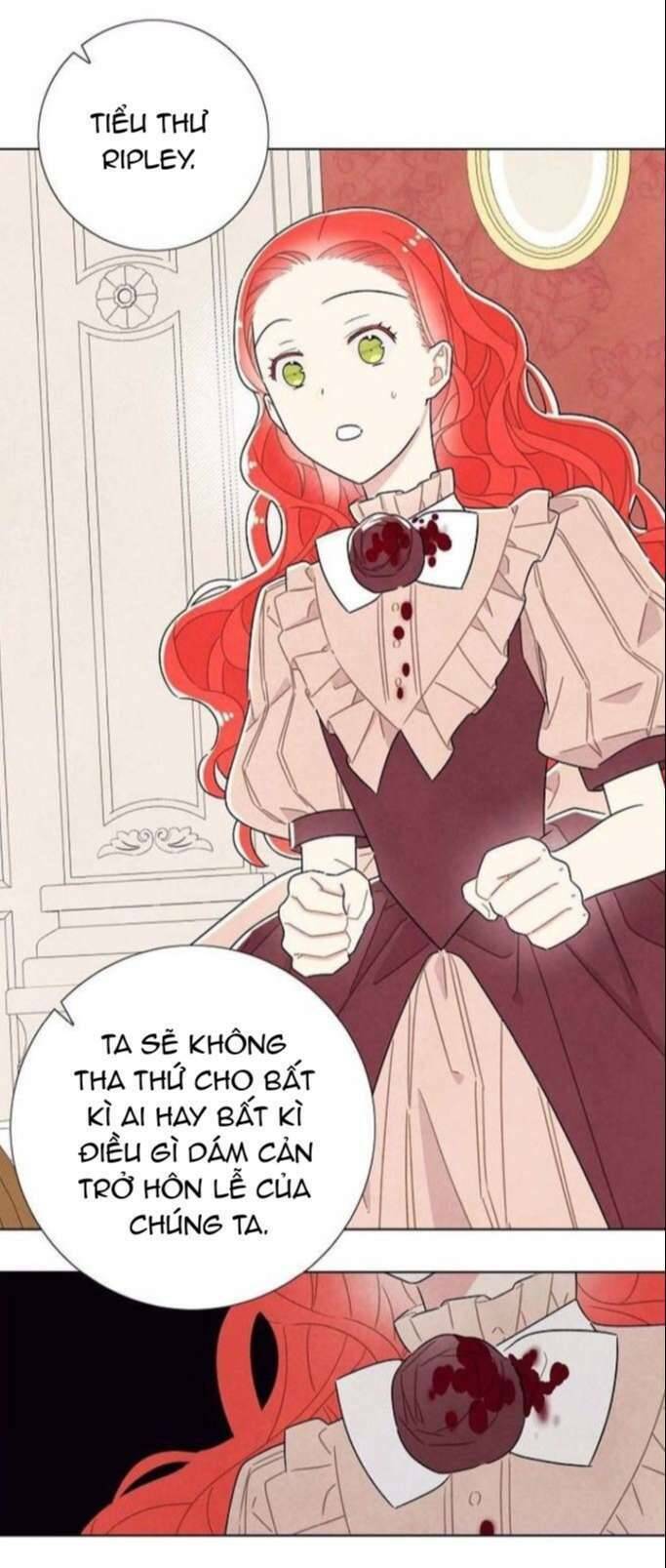 Tôi đã cướp mất đêm đầu tiên của nam chính: Chapter 34