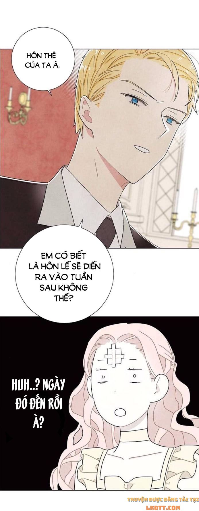 Tôi đã cướp mất đêm đầu tiên của nam chính: Chapter 35