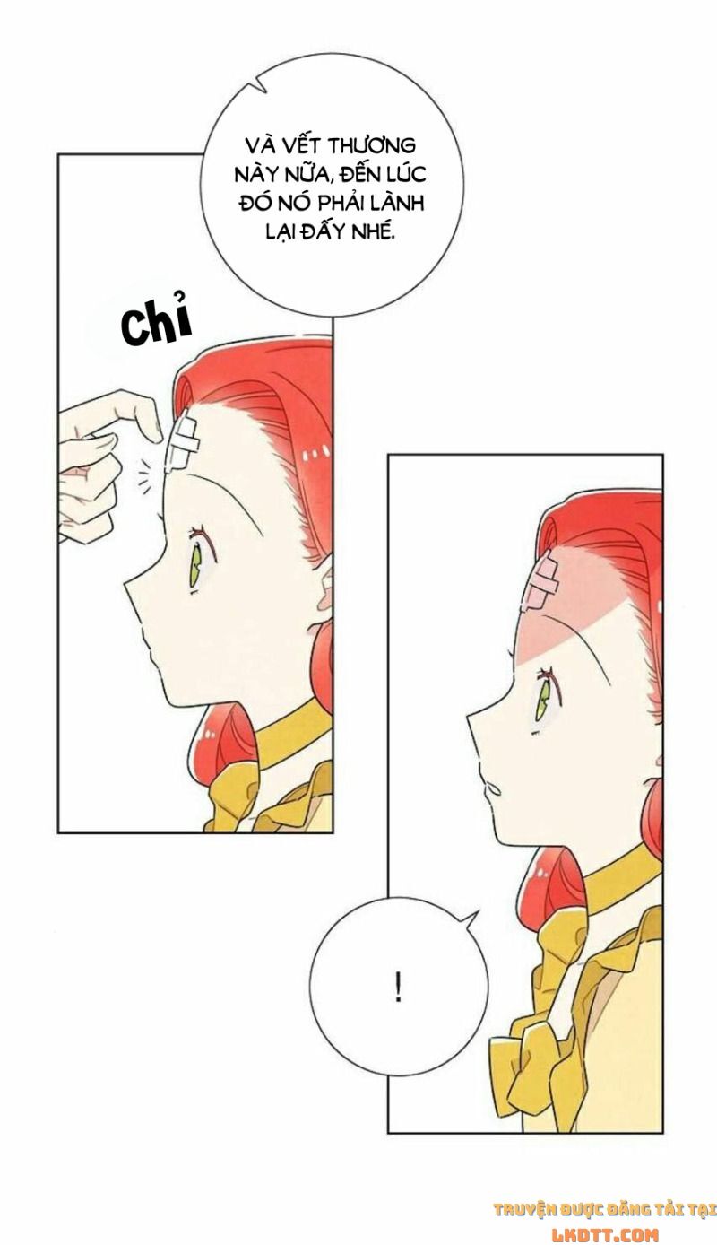 Tôi đã cướp mất đêm đầu tiên của nam chính: Chapter 35
