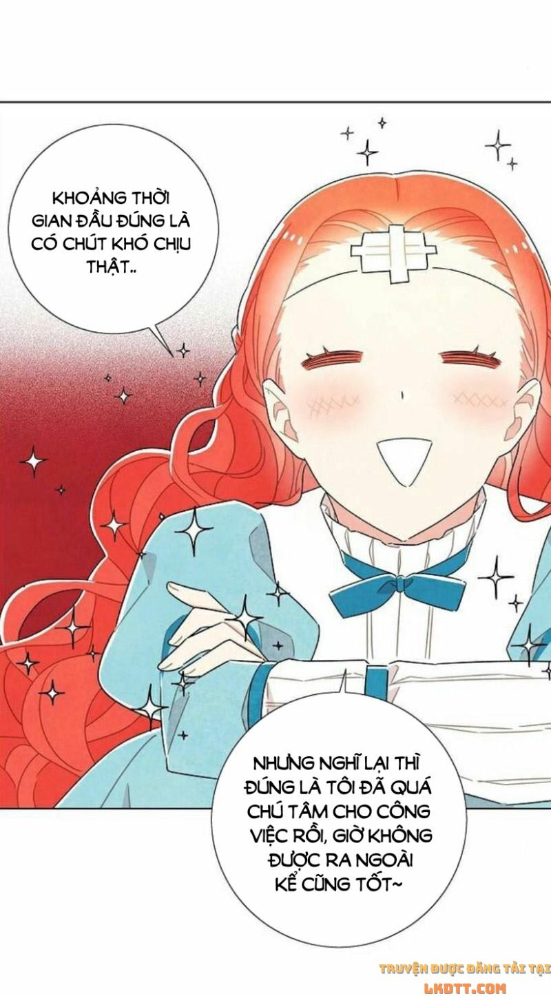 Tôi đã cướp mất đêm đầu tiên của nam chính: Chapter 35