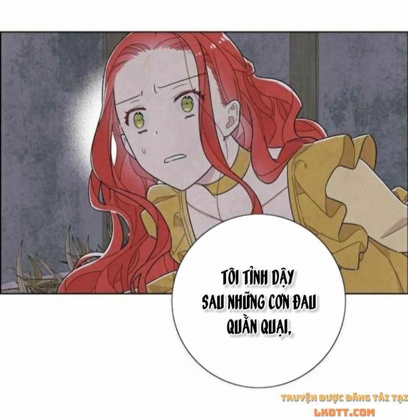 Tôi đã cướp mất đêm đầu tiên của nam chính: Chapter 36