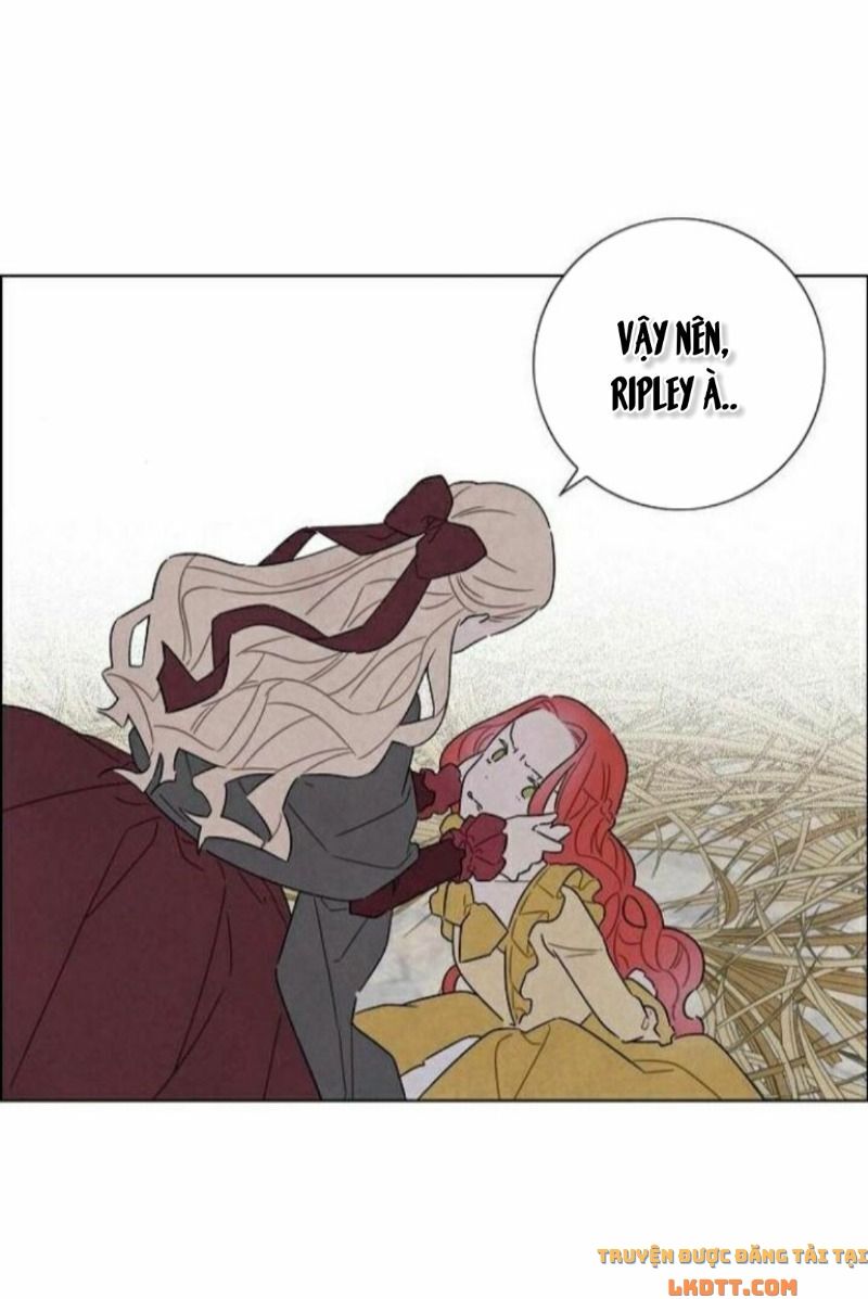 Tôi đã cướp mất đêm đầu tiên của nam chính: Chapter 36