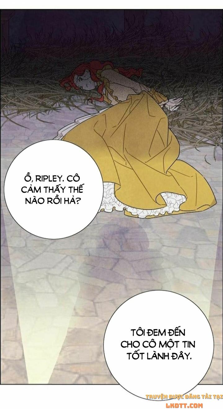 Tôi đã cướp mất đêm đầu tiên của nam chính: Chapter 36
