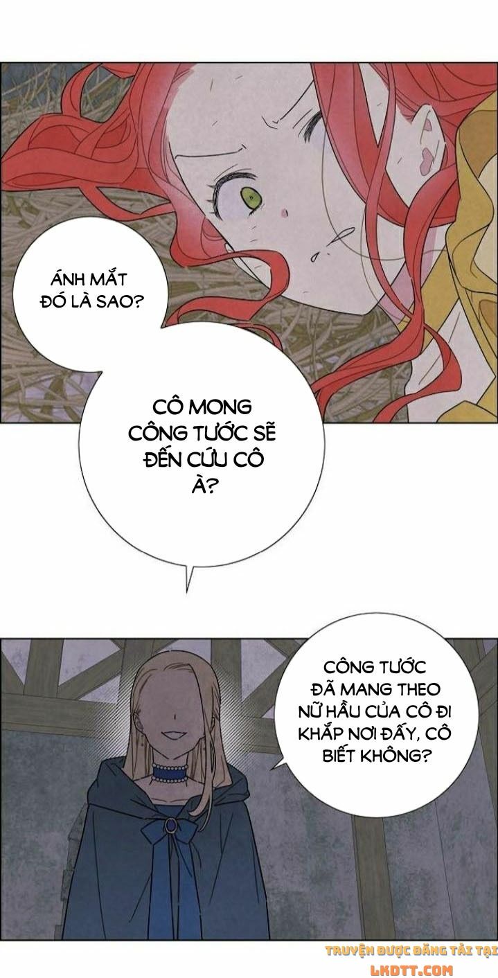 Tôi đã cướp mất đêm đầu tiên của nam chính: Chapter 36