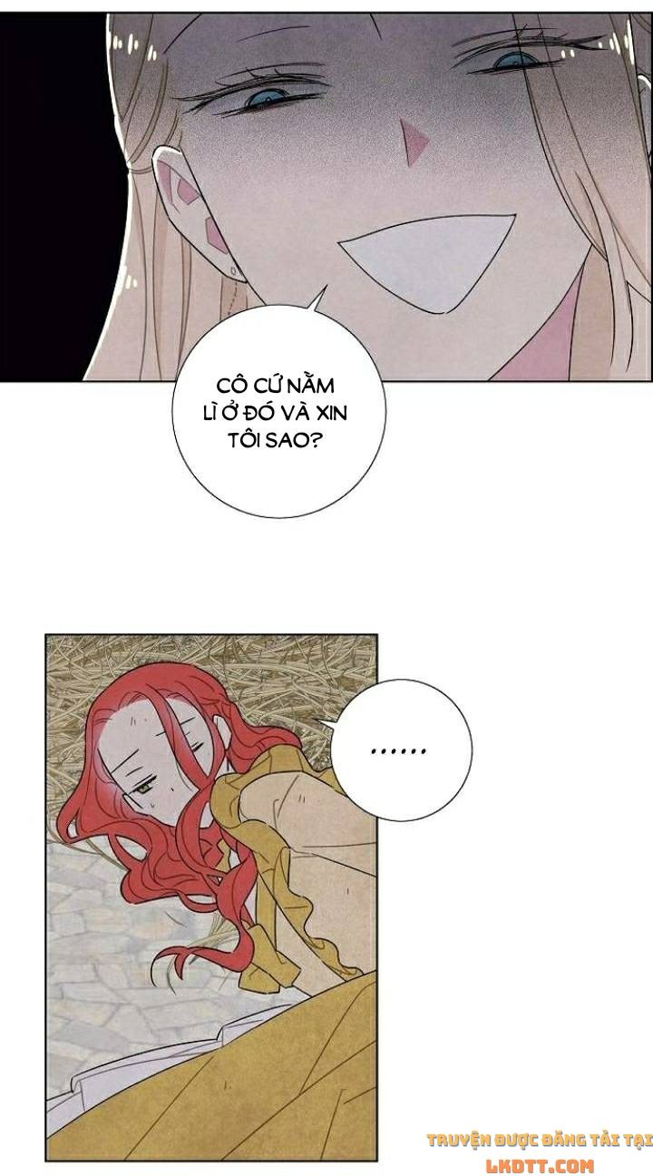 Tôi đã cướp mất đêm đầu tiên của nam chính: Chapter 37