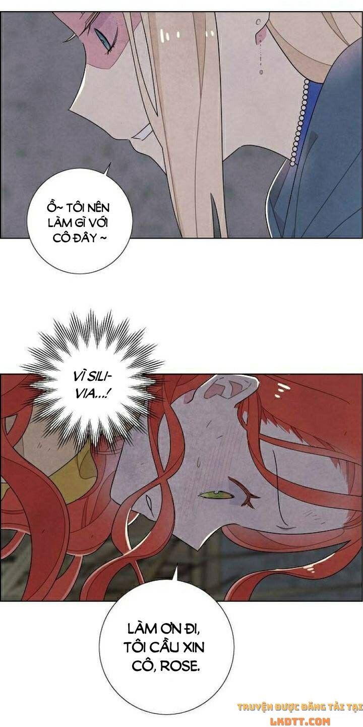 Tôi đã cướp mất đêm đầu tiên của nam chính: Chapter 37