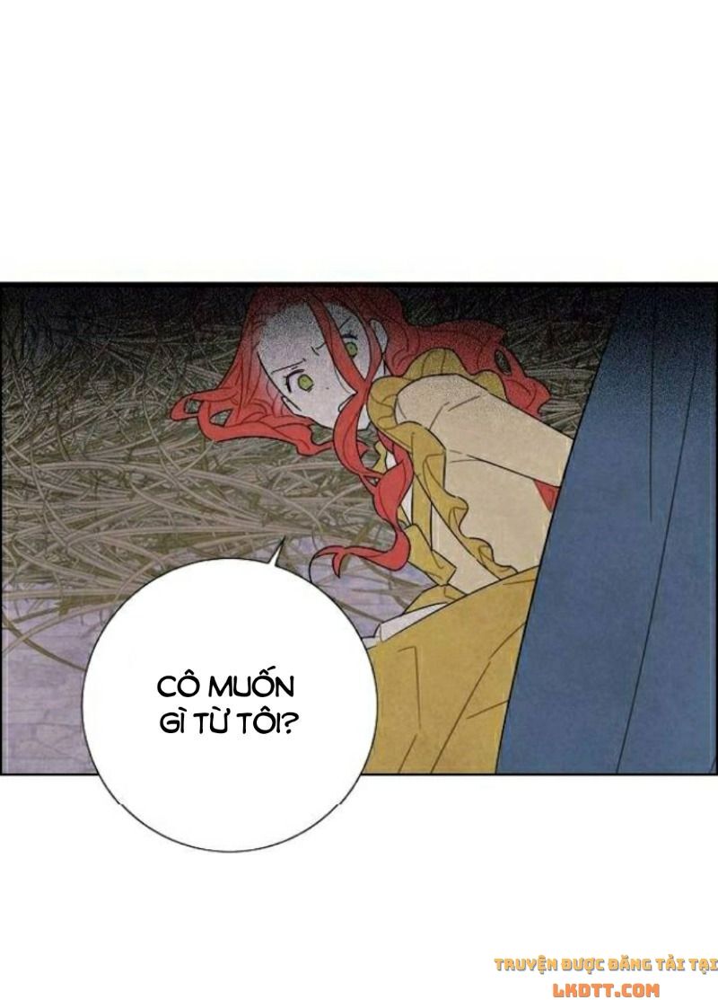 Tôi đã cướp mất đêm đầu tiên của nam chính: Chapter 37