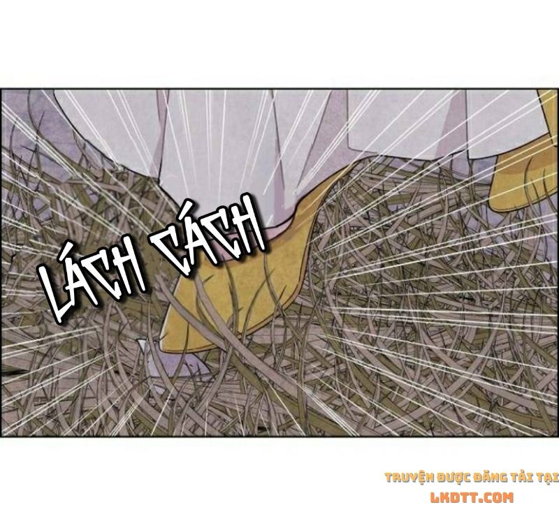 Tôi đã cướp mất đêm đầu tiên của nam chính: Chapter 37