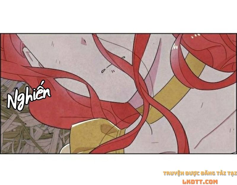 Tôi đã cướp mất đêm đầu tiên của nam chính: Chapter 37