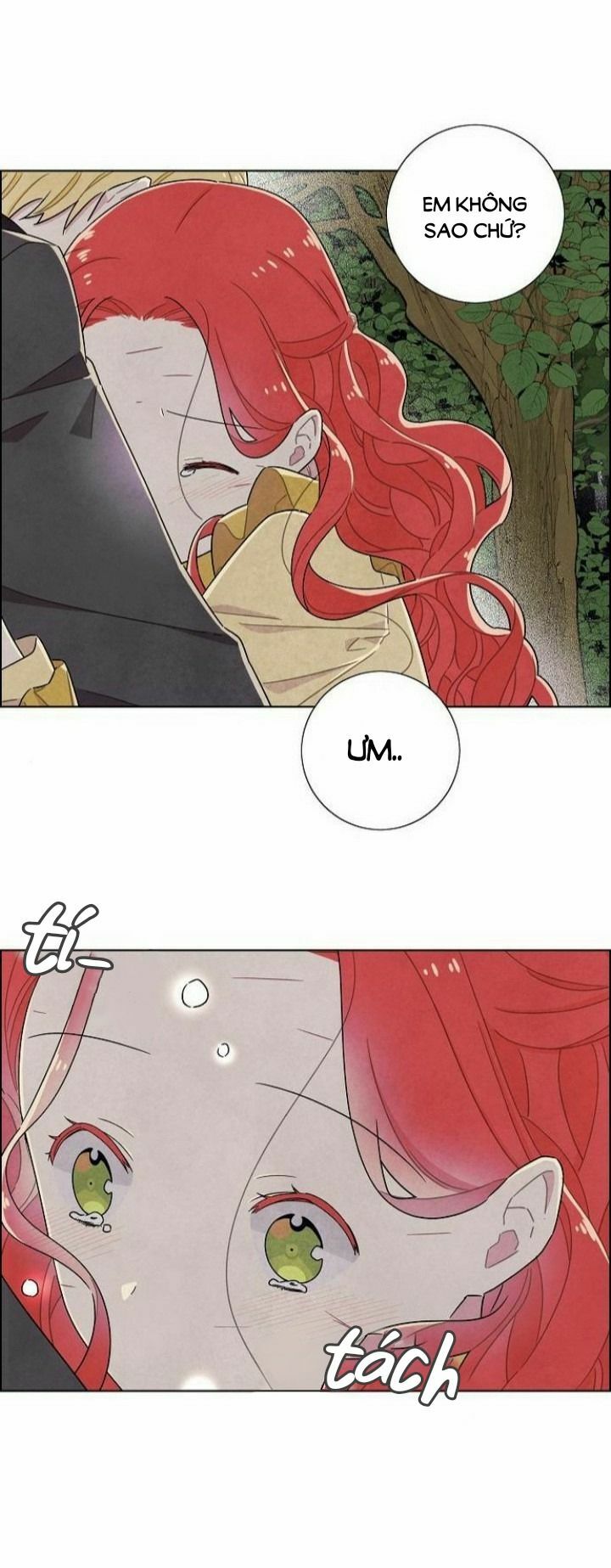 Tôi đã cướp mất đêm đầu tiên của nam chính: Chapter 39