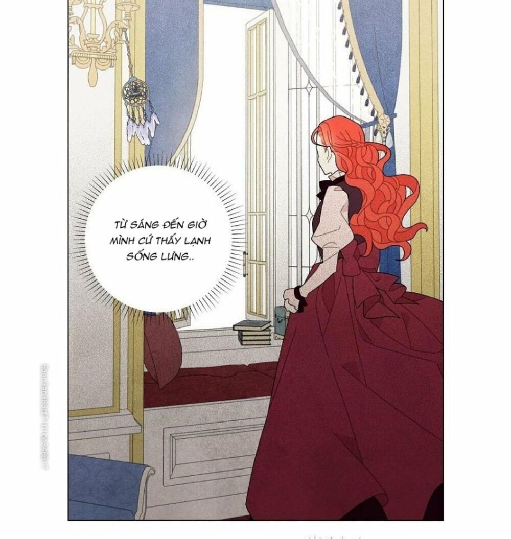 Tôi đã cướp mất đêm đầu tiên của nam chính: Chapter 52