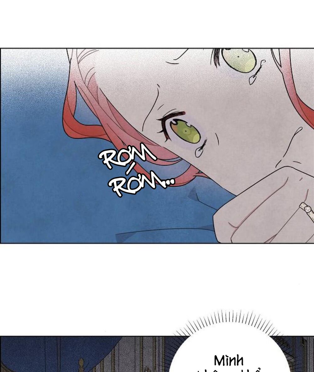 Tôi đã cướp mất đêm đầu tiên của nam chính: Chapter 54