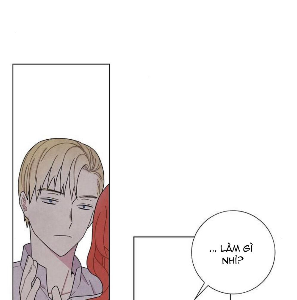 Tôi đã cướp mất đêm đầu tiên của nam chính: Chapter 55
