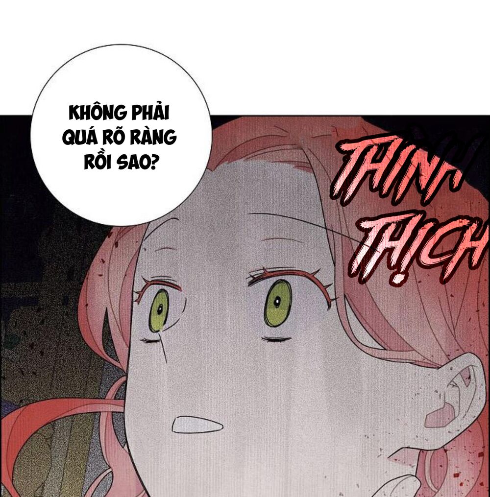 Tôi đã cướp mất đêm đầu tiên của nam chính: Chapter 55
