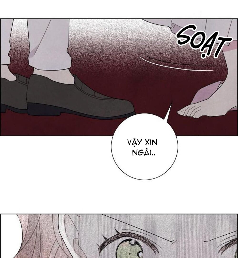 Tôi đã cướp mất đêm đầu tiên của nam chính: Chapter 55