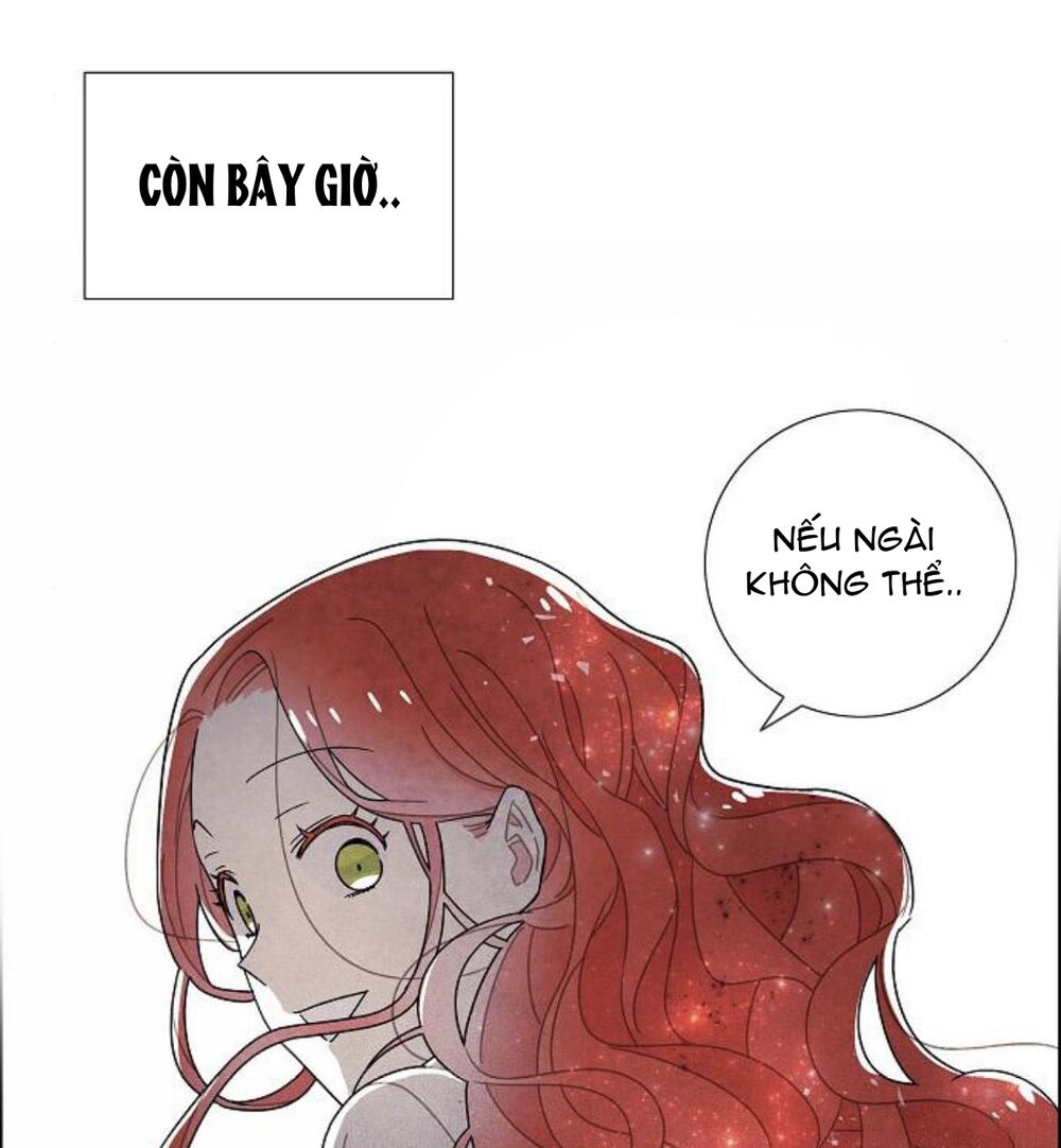 Tôi đã cướp mất đêm đầu tiên của nam chính: Chapter 55