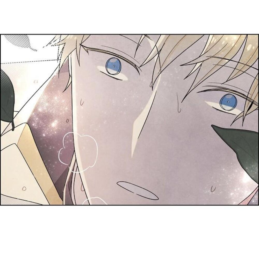 Tôi đã cướp mất đêm đầu tiên của nam chính: Chapter 55