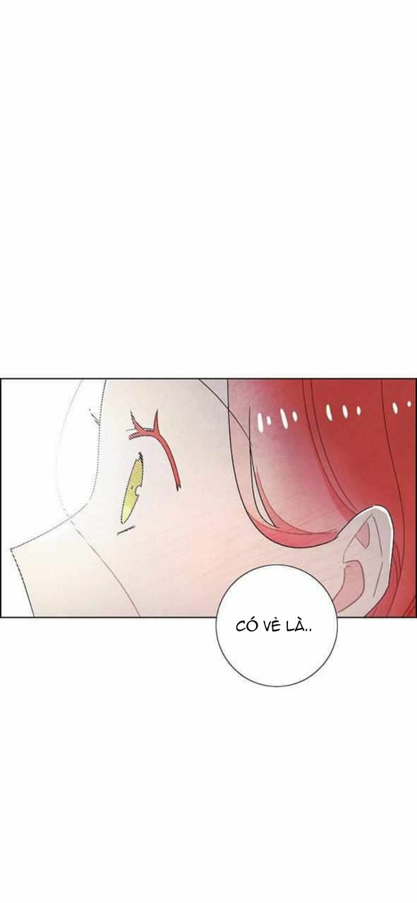 Tôi đã cướp mất đêm đầu tiên của nam chính: Chapter 56