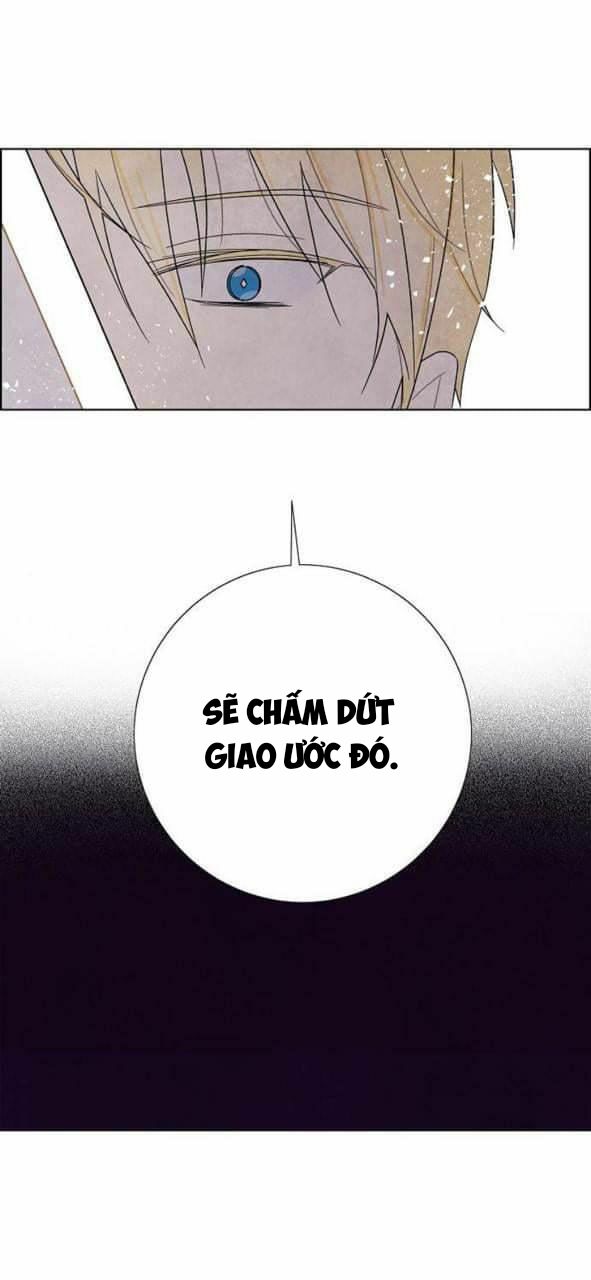 Tôi đã cướp mất đêm đầu tiên của nam chính: Chapter 56